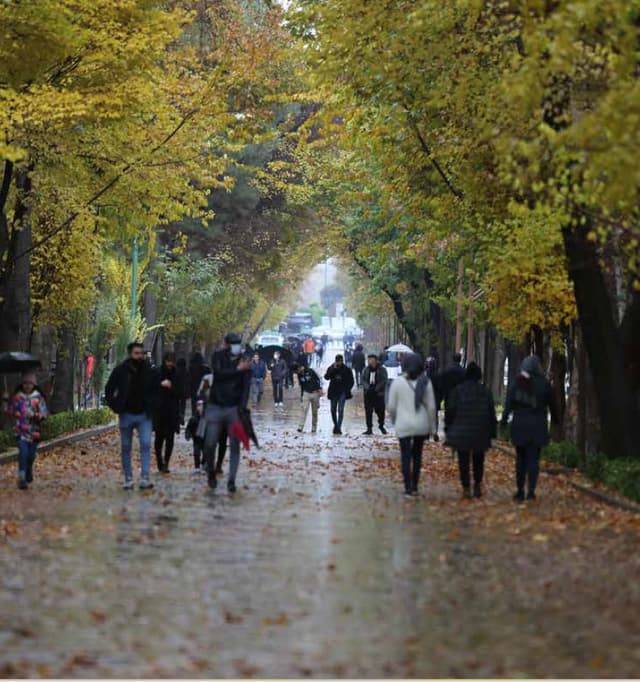 Walkability In The City Historic Centre