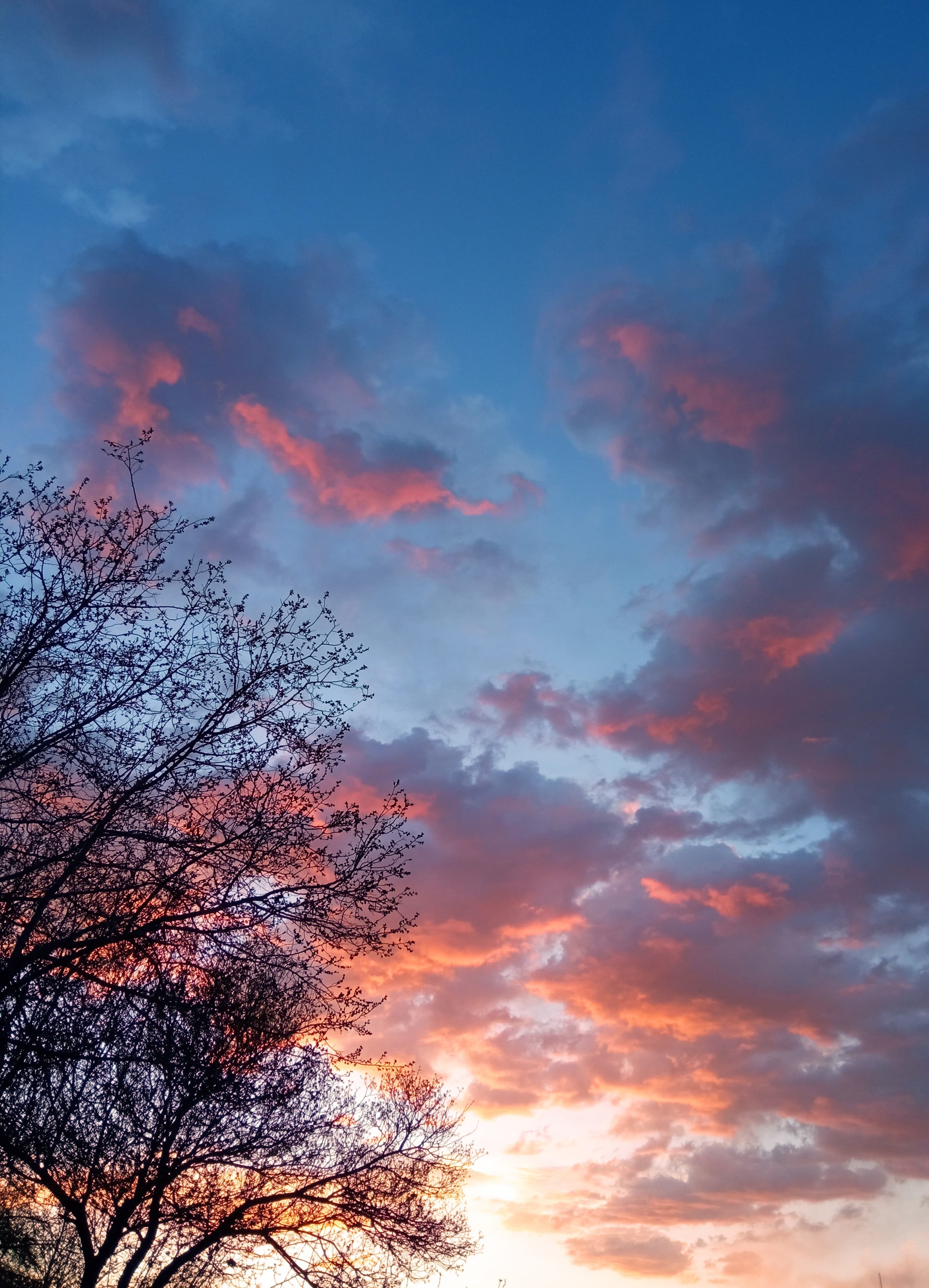 The role of the sky